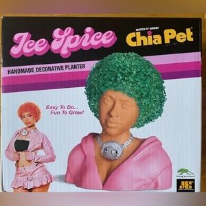 Chia Pet Decorative Planter with Green Hair